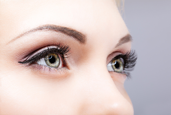 Lash and Brow Services